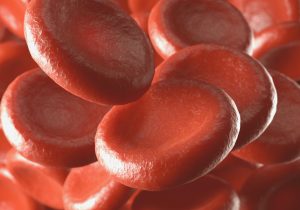 Red Blood Cells